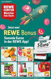 Aktueller REWE Prospekt, "Dein Markt", mit Angeboten der Woche, gültig von 30.12.2024 bis 30.12.2024