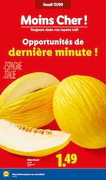 Prix et réduction Melon dans le prospectus Lidl en cours Offre Melon dans le catalogue Lidl du moment à la page 4