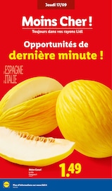 Promos Canari dans le catalogue "Cap sur l'Italie !" de Lidl à la page 4 Promos Canari dans le catalogue "Cap sur l'Italie !" de Lidl à la page 4