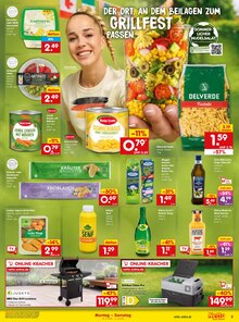 Kräuter im Netto Marken-Discount Prospekt "Aktuelle Angebote" mit 45 Seiten (Dortmund)