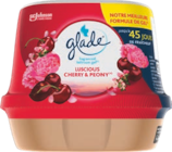 Désodorisant Gel - GLADE - Aldi à Charenton-le-Pont Désodorisant Gel - GLADE en promo chez Aldi Charenton-le-Pont à 1,95 €
