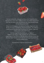 Ähnliche Angebote wie Tintenpatronen im Prospekt "Wir lieben Lebensmittel!" auf Seite 31 von E center in Suhl
