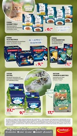 Felix Katzenfutter im Zookauf Prospekt in Remscheid Aktueller Zookauf Prospekt mit Felix Katzenfutter, "So schmeckt der Frühling", Seite 2