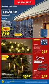 Aktueller Lidl Prospekt mit Christbaum, "LIDL LOHNT SICH", Seite 40