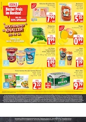 Frosta im EDEKA Prospekt in Flensburg Aktueller EDEKA Prospekt mit Frosta, "Top Angebote", Seite 12