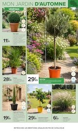 Promos Cyprès dans le catalogue "JARDIN" de Carrefour Cyprès en promo dans le catalogue Carrefour à la page 5