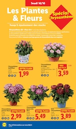 Prix et réduction Aménagement Extérieur dans le prospectus Lidl en cours Offre Aménagement Extérieur dans le catalogue Lidl du moment à la page 36