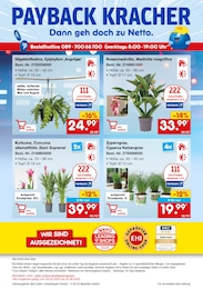 Kaffeevollautomat Angebot im aktuellen Netto Marken-Discount Prospekt auf Seite 7