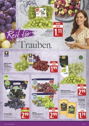 Mixer im EDEKA Prospekt in Schwabach Aktueller EDEKA Prospekt mit Mixer, "Wir lieben Lebensmittel!", Seite 9