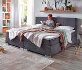 Boxspringbett Zanzibar im Angebot bei Zurbrüggen in Oberhausen Boxspringbett Zanzibar Angebote von INTRO bei Zurbrüggen Oberhausen für 998,00 €