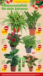 Topfrosen Angebot im aktuellen Penny Prospekt auf Seite 22
