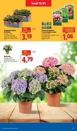 Offre Jardin BIO dans le catalogue Lidl du moment à la page 29