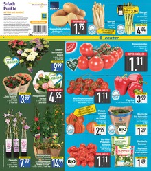 EDEKA Garten im Prospekt EDEKA Garten im Prospekt