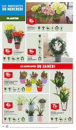 Promo Marché aux fleurs chez Carrefour Market