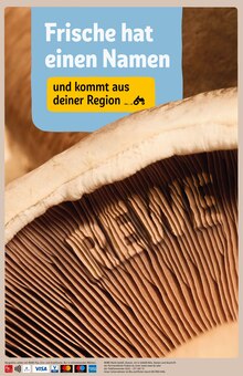 Damenbekleidung Angebot im REWE Prospekt, gültig von 10.08.2026 bis 15.08.2026 Damenbekleidung Angebot im aktuellen REWE Prospekt auf Seite 28