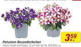Petunien-Besonderheiten bei toom Baumarkt im Lüblow Prospekt für 3,59 €