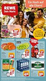 Aktueller REWE Supermarkt Prospekt in Gifhorn und Umgebung, "Dein Markt" mit 28 Seiten, 06.05.2024 - 11.05.2024