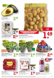 Äpfel im E center Prospekt in Mannheim Aktueller E center Prospekt mit Äpfel, "Aktuelle Angebote", Seite 13