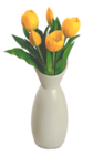 Tulpen Angebote von HOME CREATION bei ALDI Nord Mettmann für 2,99 €