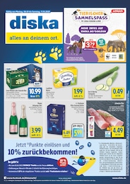 diska Prospekt mit 12 Seiten