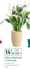 Promo Calla cristal blush + cache-pot à 14,99 € dans le catalogue Botanic à Mouans-Sartoux