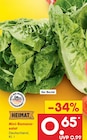 Mini-Romana-salat im Angebot bei Netto Marken-Discount in Solingen Mini-Romana-salat Angebote von HEIMAT bei Netto Marken-Discount Solingen für 0,65 €