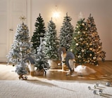 Aktuelles Weihnachtsbaum „Killington“ Angebot bei XXXLutz in Neubrandenburg ab 59,99 €