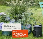 Gießkanne im Angebot bei Blume 2000 in Karlsruhe Gießkanne Angebote bei Blume 2000 Karlsruhe für 20,00 €