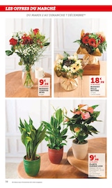 Jardinage Angebote im Prospekt "Super U" von Super U Jardinage Angebote im Prospekt "Super U" von Super U auf Seite 38