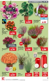 Dekoration Angebot & Preis im aktuellen Kaufland Prospekt Dekoration Angebot im aktuellen Kaufland Prospekt auf Seite 35
