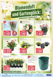 Pflanzen Angebot im aktuellen Marktkauf Prospekt auf Seite 7