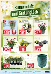 Aktueller Marktkauf Prospekt mit Blumen, "Top Angebote", Seite 7