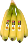 Frischemarkt Siebrecht Anklam - Bananen Angebot im Prospekt Bananen bei Frischemarkt Siebrecht im Anklam Prospekt für 1,19 €