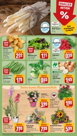 Ähnliche Angebote wie Gurkenpflanze im Prospekt "Dein Markt" auf Seite 7 von REWE in Augsburg