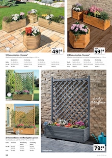 Blumentopf im Hagebaumarkt Prospekt "GARTENGESTALTUNG" mit 172 Seiten (Oberhausen)