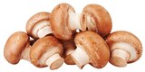 Aktuelle Pilze Angebote bei REWE in Nürnberg Aktuelles Braune Bio Champignons Angebot bei REWE in Nürnberg ab 1,79 €