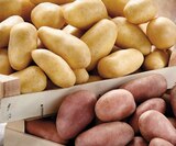 Intermarché Express Évian-les-Bains - Promo Pommes de terre de consommation à chair ferme Promo Pommes de terre de consommation à chair ferme à 1,69 € dans le catalogue Intermarché Express à Évian-les-Bains