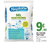 Promo Sel Piscine à 9,90 € dans le catalogue E.Leclerc à Metz