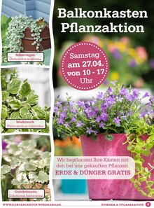 Balkonpflanzen im Garten-Center Nordharz GmbH & Co. KG Prospekt "Der Sommer kann kommen…" mit 12 Seiten (Braunschweig)