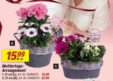 Aktuelles Muttertags-Arrangement Angebot bei toom Baumarkt in Oberhausen ab 15,99 €