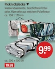 Picknickdecke im V-Markt Prospekt Picknickdecke von im aktuellen V-Markt Prospekt für 9,99 €