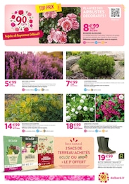 Offre Décoration Extérieure dans le catalogue Delbard du moment à la page 2