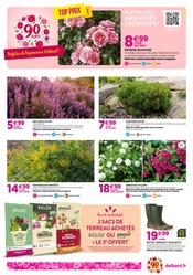 Chaussures Angebote im Prospekt "90 ans à colorer votre automne !" von Delbard auf Seite 2