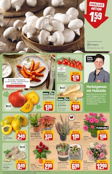 Pflanzen im REWE Prospekt "Dein Markt" mit 36 Seiten (Neuss)