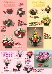 Offre Plante Succulente dans le catalogue Maxi Bazar du moment à la page 2