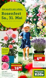 Aktueller Pflanzen Kölle Garten & Pflanzen Prospekt in Heimsheim und Umgebung, "Ich mach´s mir schön" mit 12 Seiten, 26.05.2025 - 01.06.2025