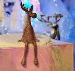 Kantenhocker Rentier Angebot im Pflanzen Kölle Prospekt Kantenhocker Rentier im Pflanzen Kölle Prospekt zum Preis von 8,99 €