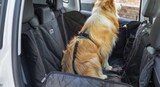 Auto-Schondecke 'Drive' von Dehner im aktuellen Dehner Garten-Center Prospekt für 6,99 €