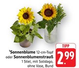 Angebot im EDEKA Rastatt Prospekt EDEKA Rastatt Prospekt mit im Angebot fĂŒr 2,99 âŹ