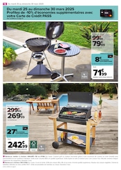 Barbecue Angebote im Prospekt "PROFITER ENFIN DE SON JARDIN" von Carrefour auf Seite 10